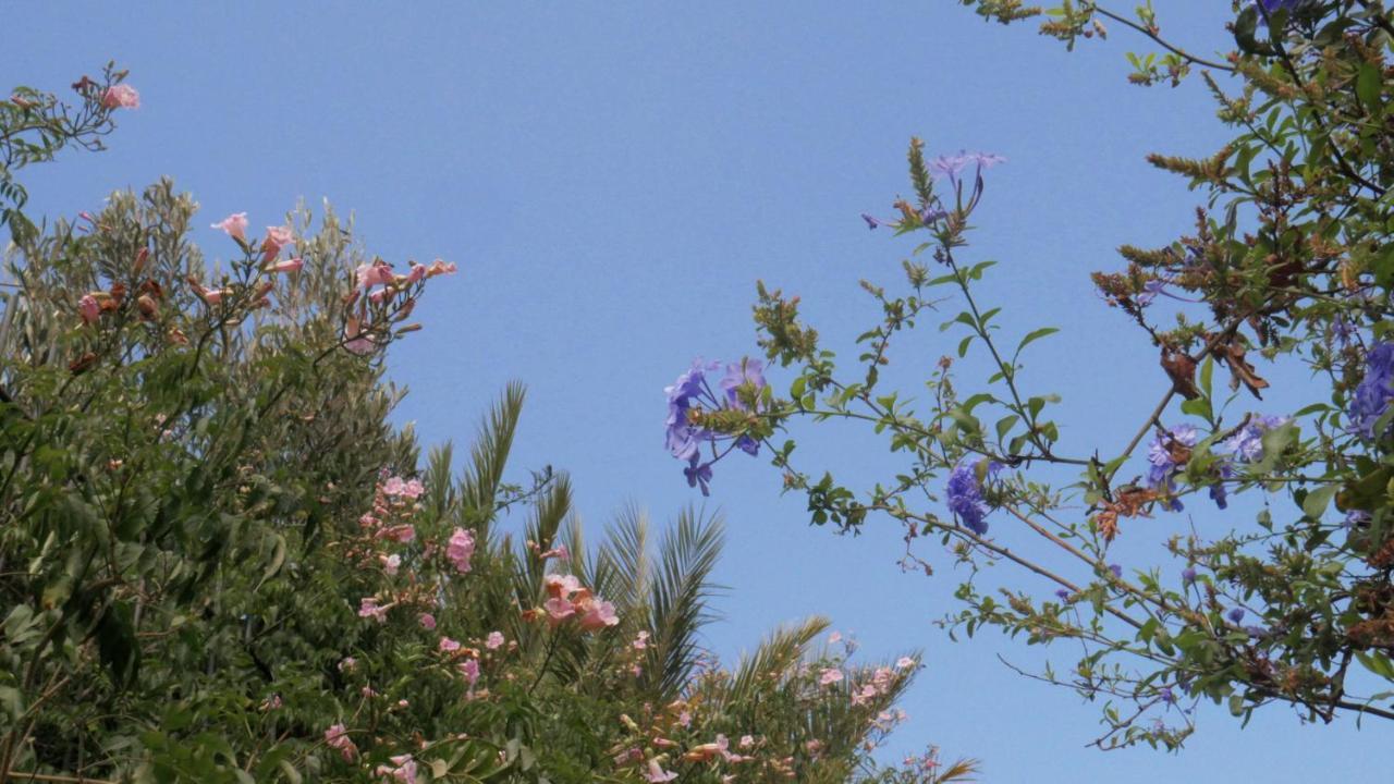 Casa Rural El Liron Ινχένιο Εξωτερικό φωτογραφία